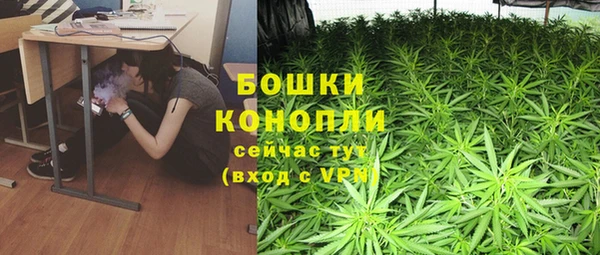 молекула духа Верхний Тагил