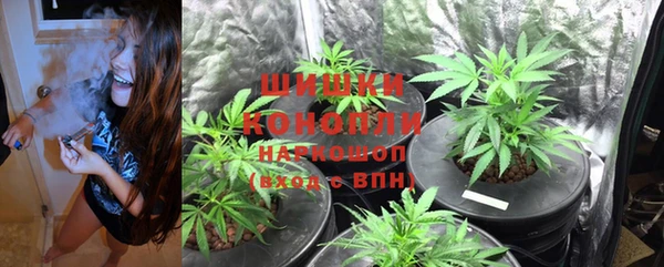 тгк Волосово