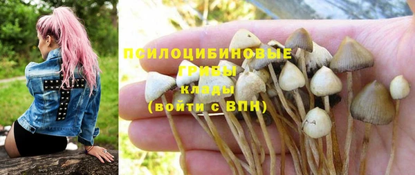 МДПВ Володарск
